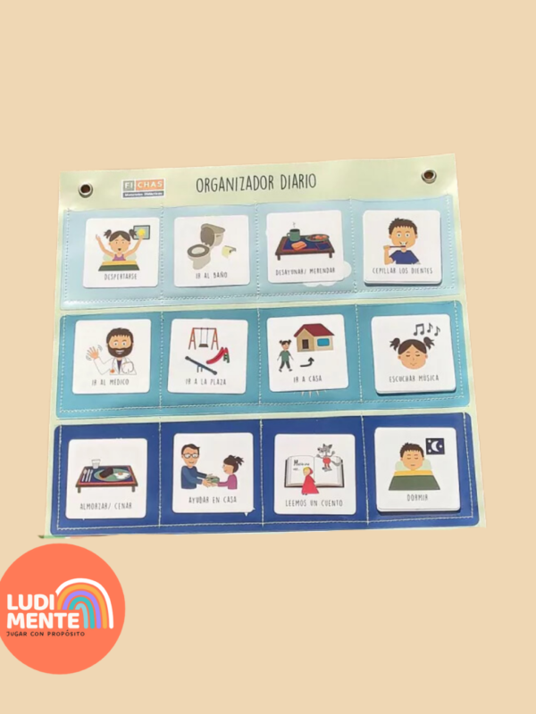 Organizador diario